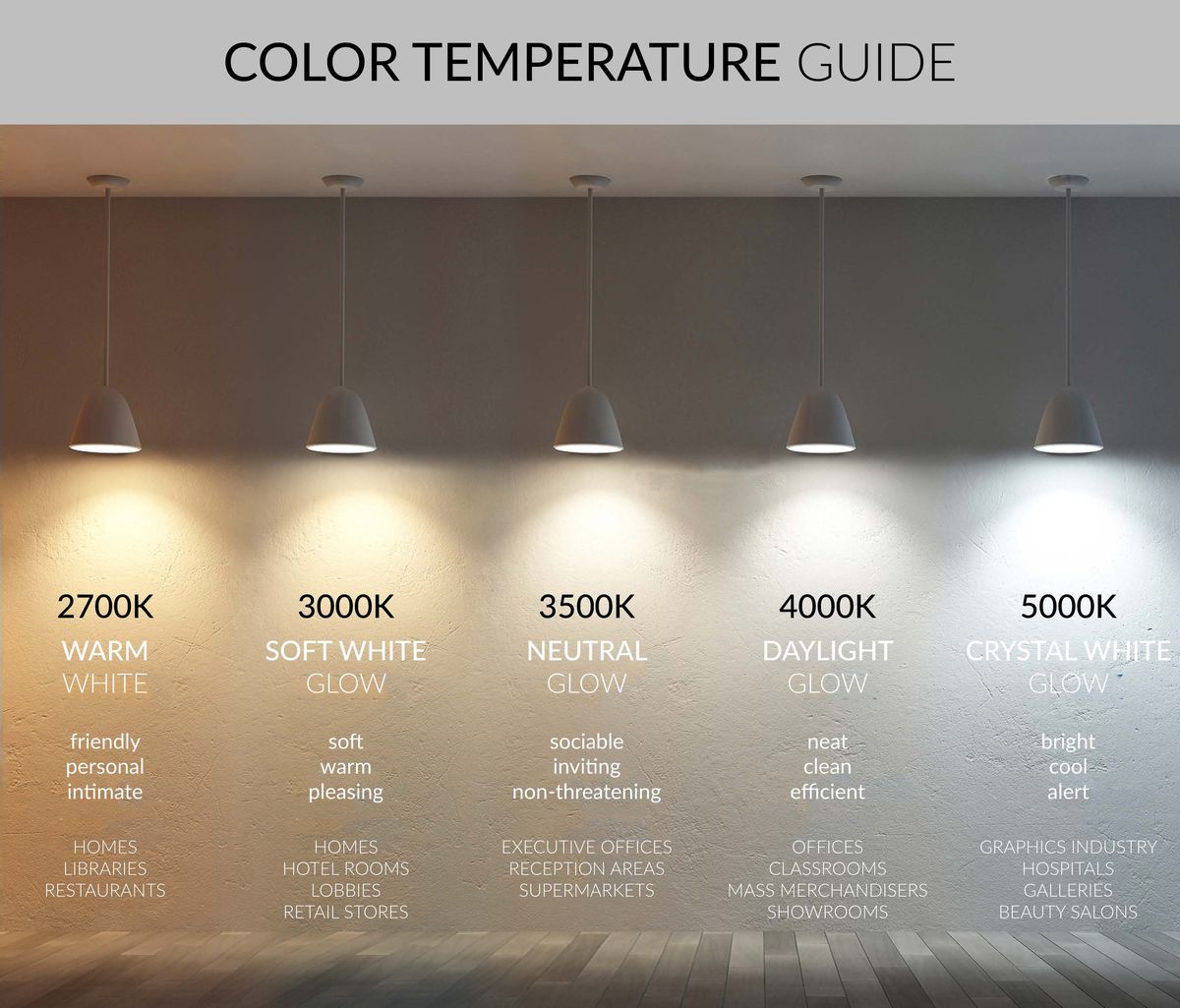 Warm vs. Cool Light: A Complete Color Temperature Guide for Every Room