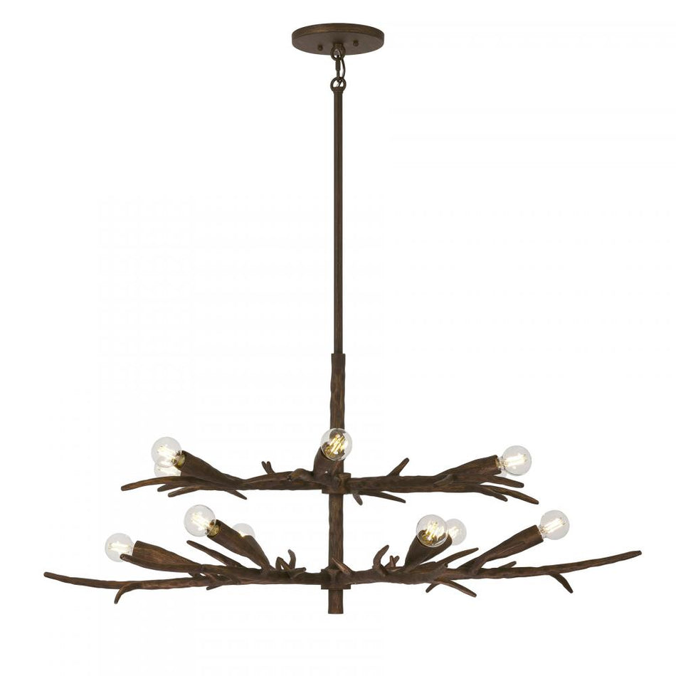 12 Light Chandelier from the Palisades Collection