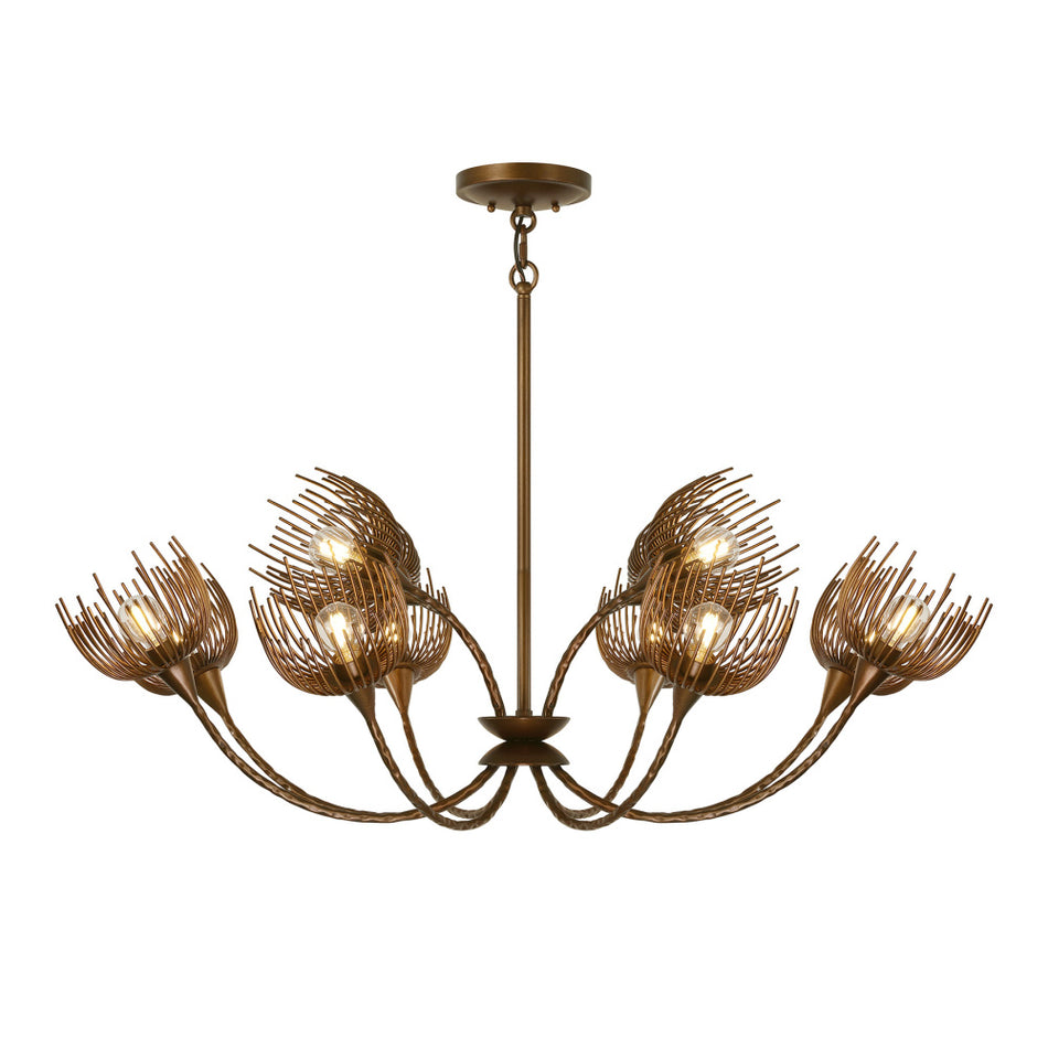 12 Light Chandelier from the Protea Collection