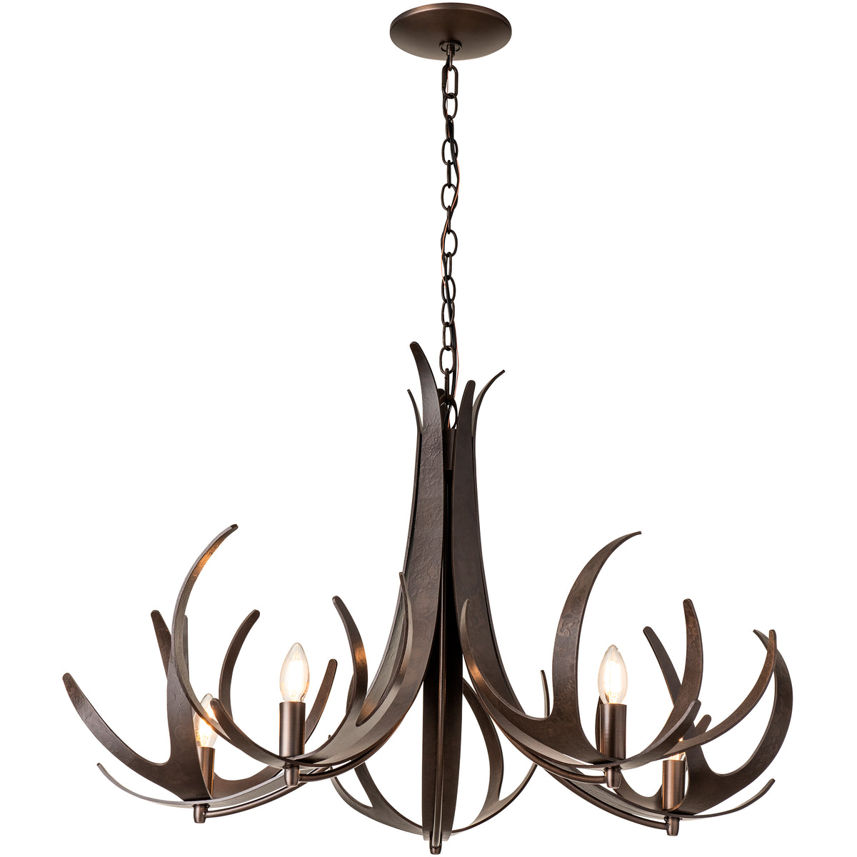 Transitional from the Caribou Collection