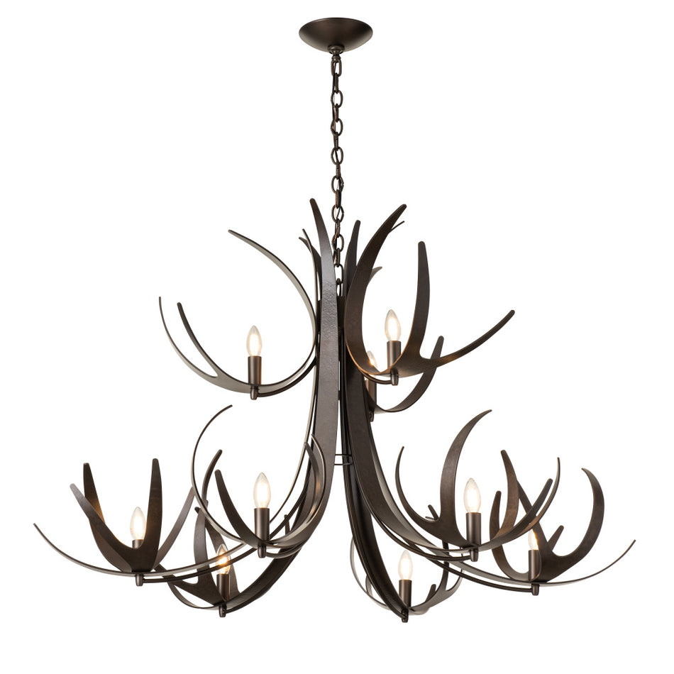 Transitional from the Caribou Collection