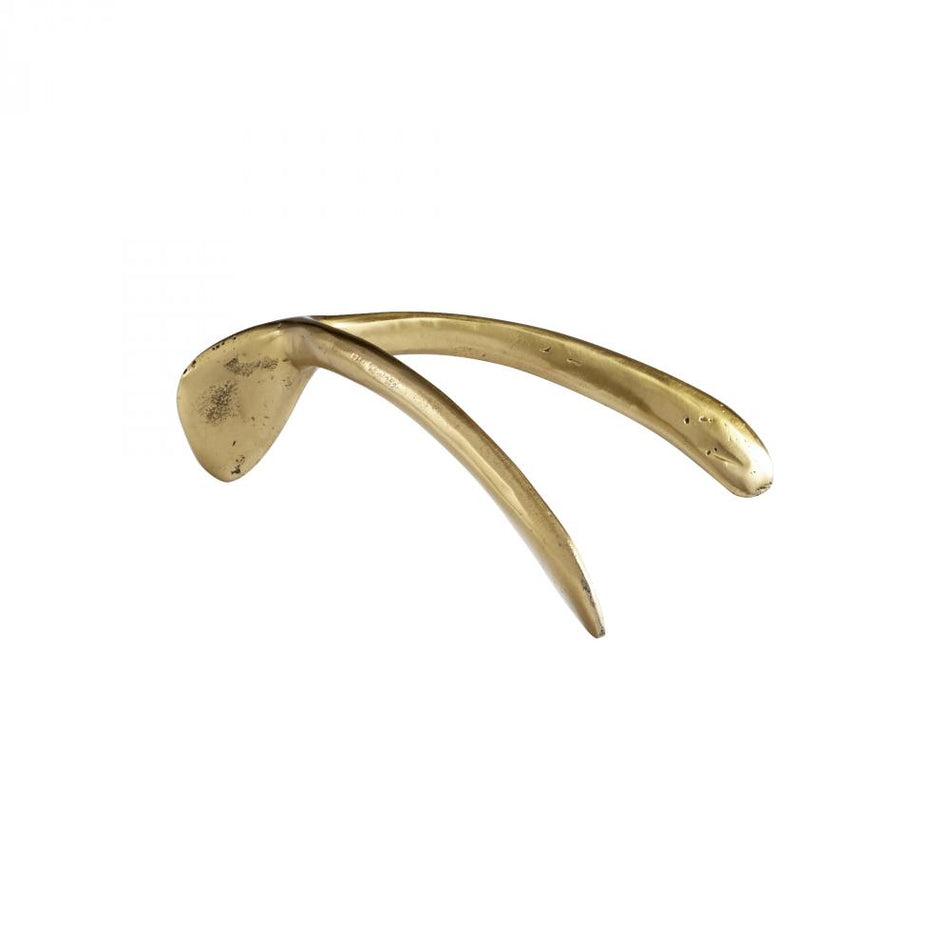 Wishbone Token