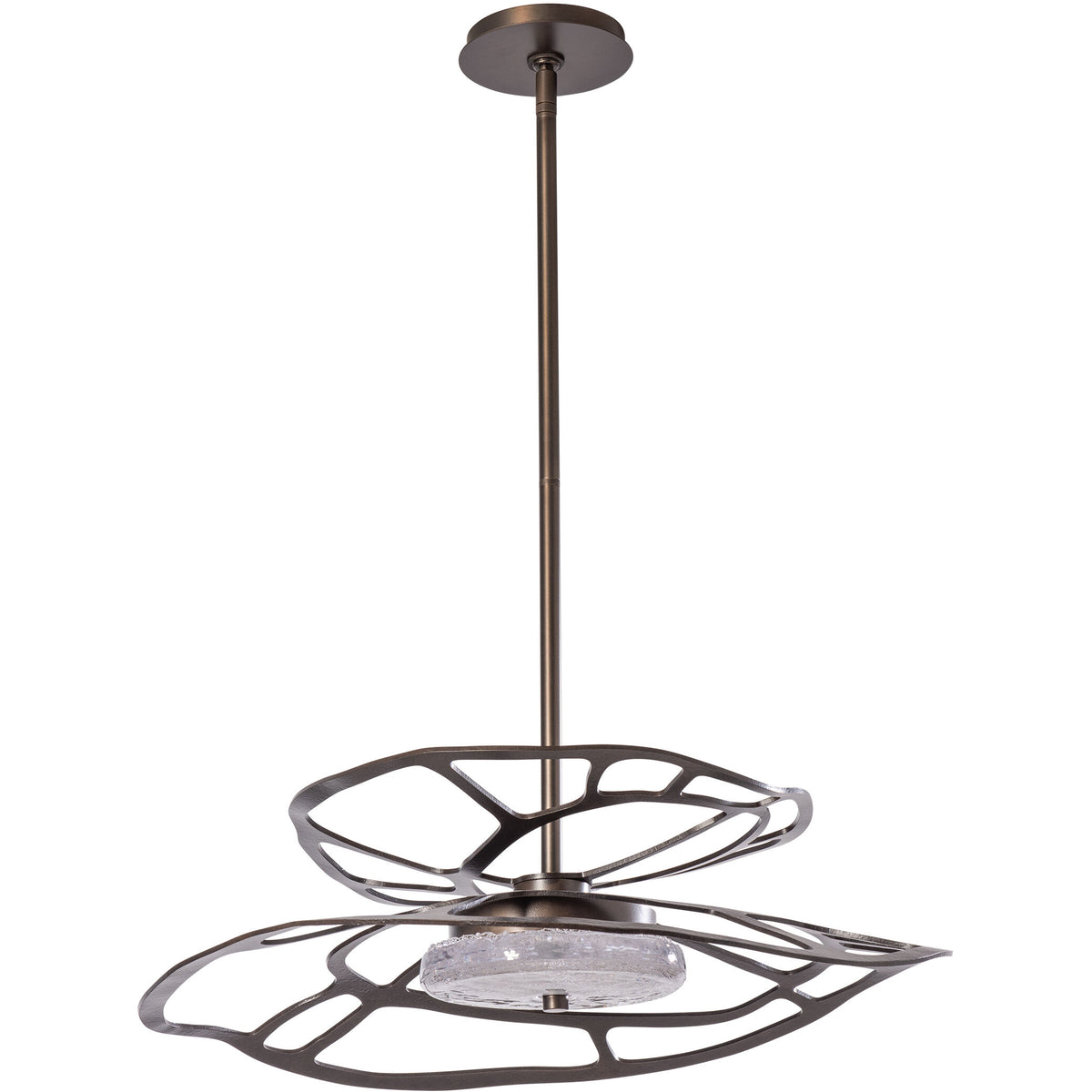 Contemporary from the Muse Collection