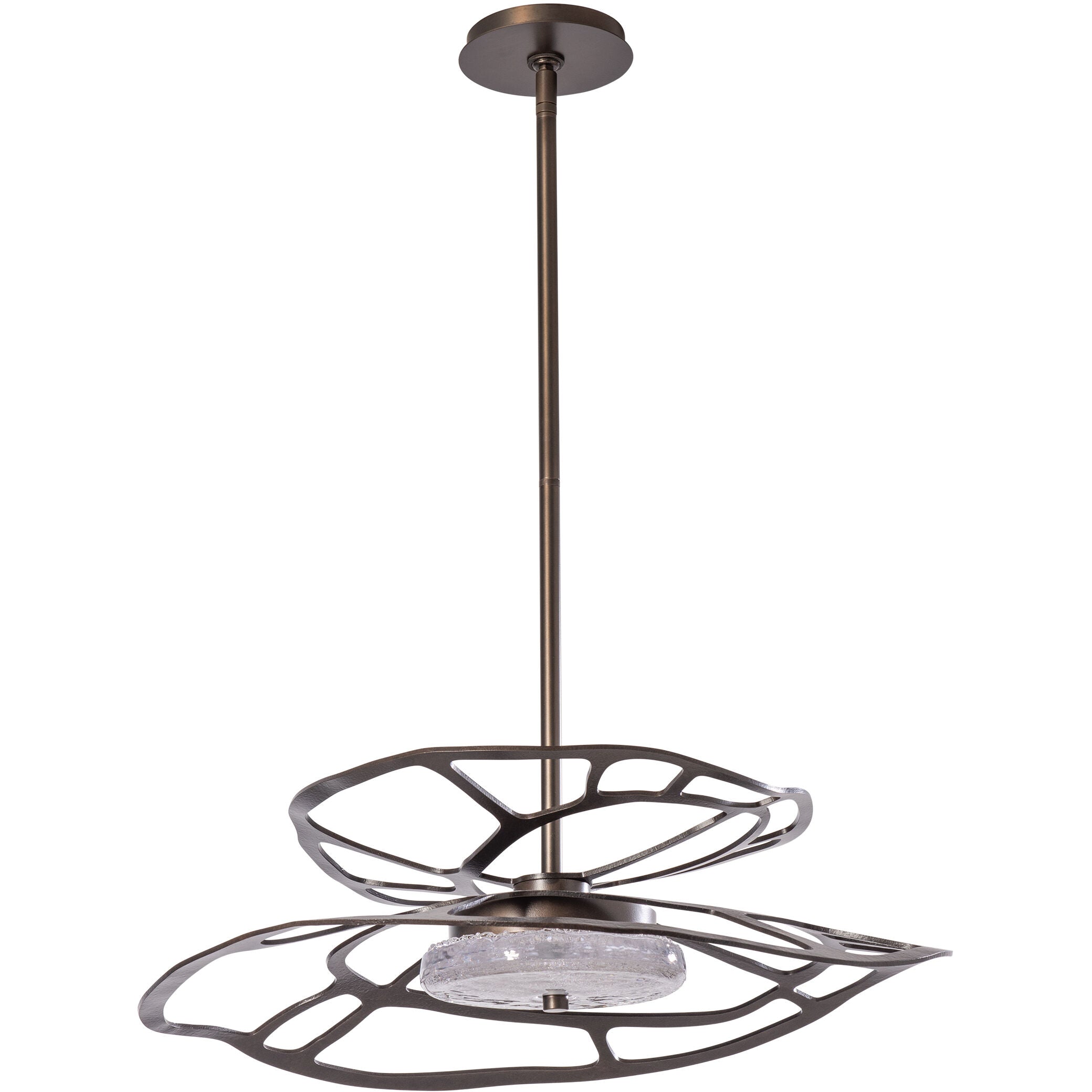 Contemporary from the Muse Collection