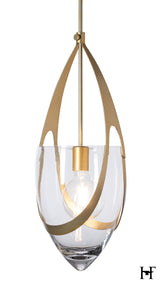 The Vaso Collection
