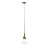 Contemporary Down Pendant from the Fritz Collection