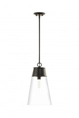 Transitional Down Pendant from the Wentworth Collection