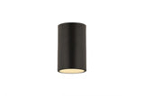 Transitional Flush Mount from the Harley Collection