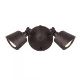 LED Double Flood Light