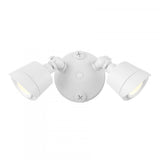 LED Double Flood Light