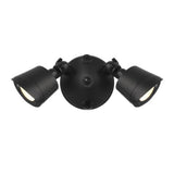 Flood Light