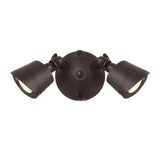 Flood Light