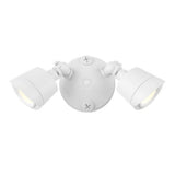 Flood Light