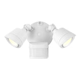Flood Light