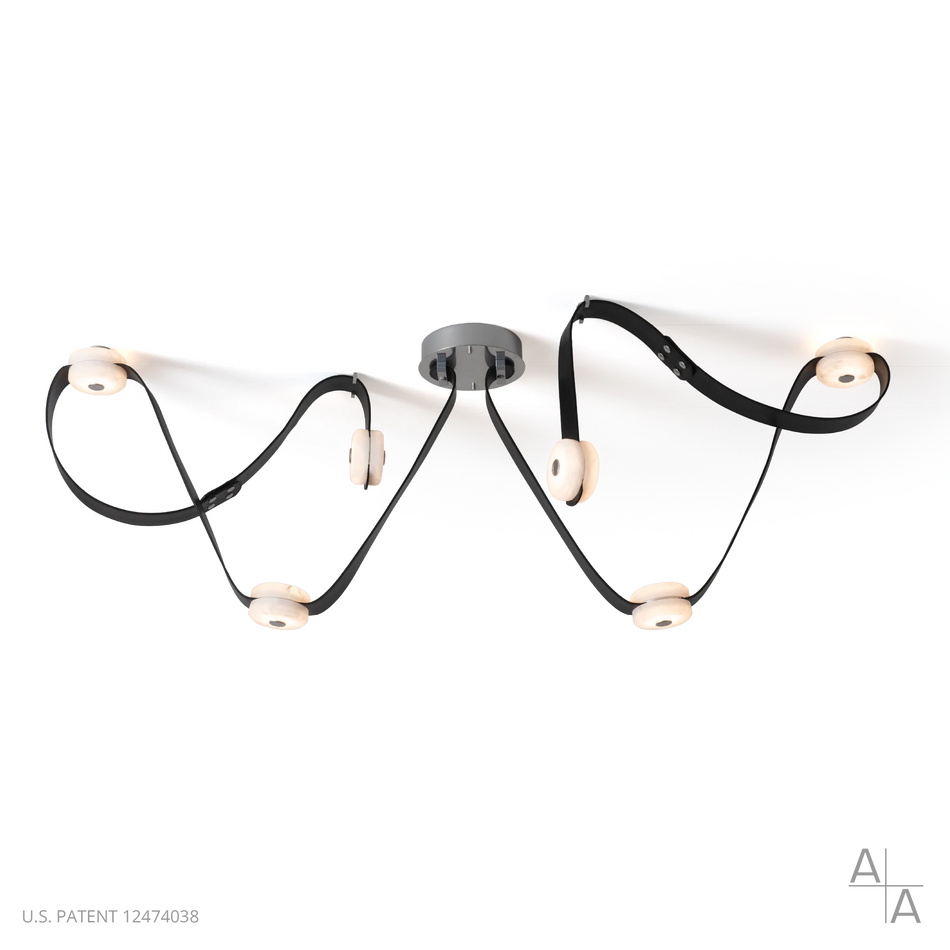 Contemporary from the Snaps Collection
