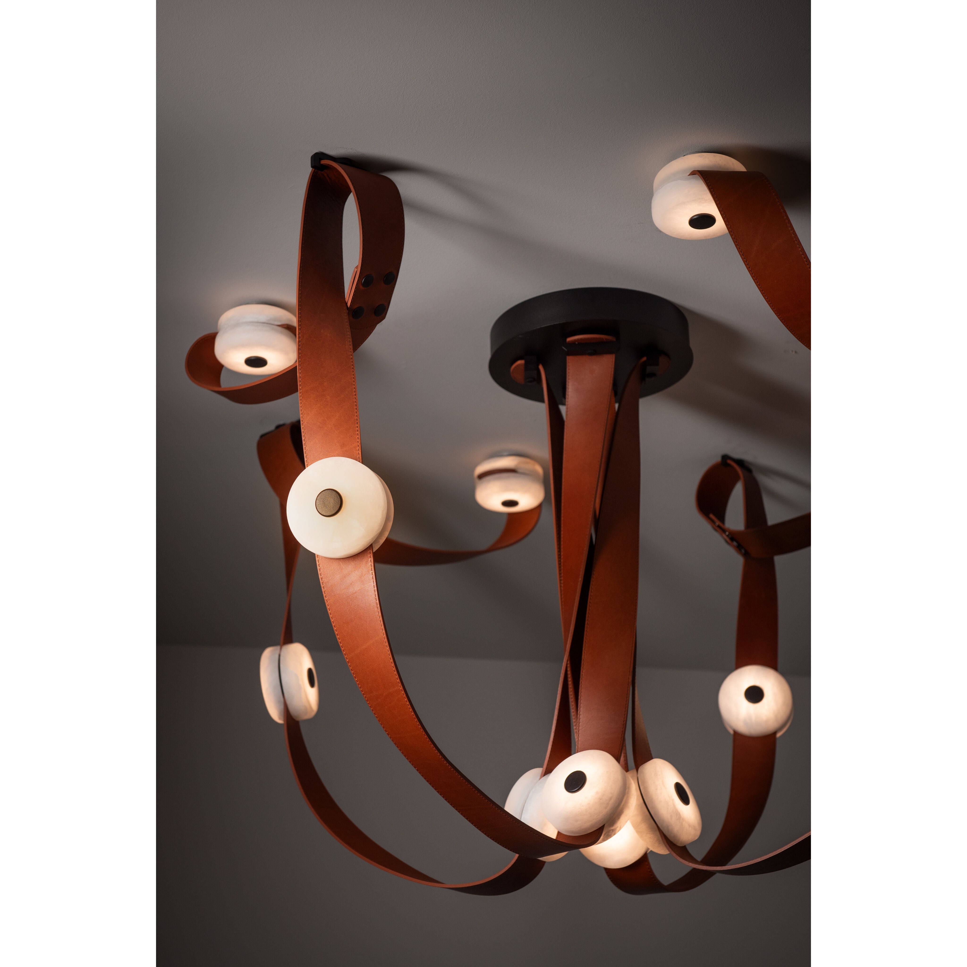 Contemporary from the Snaps Collection