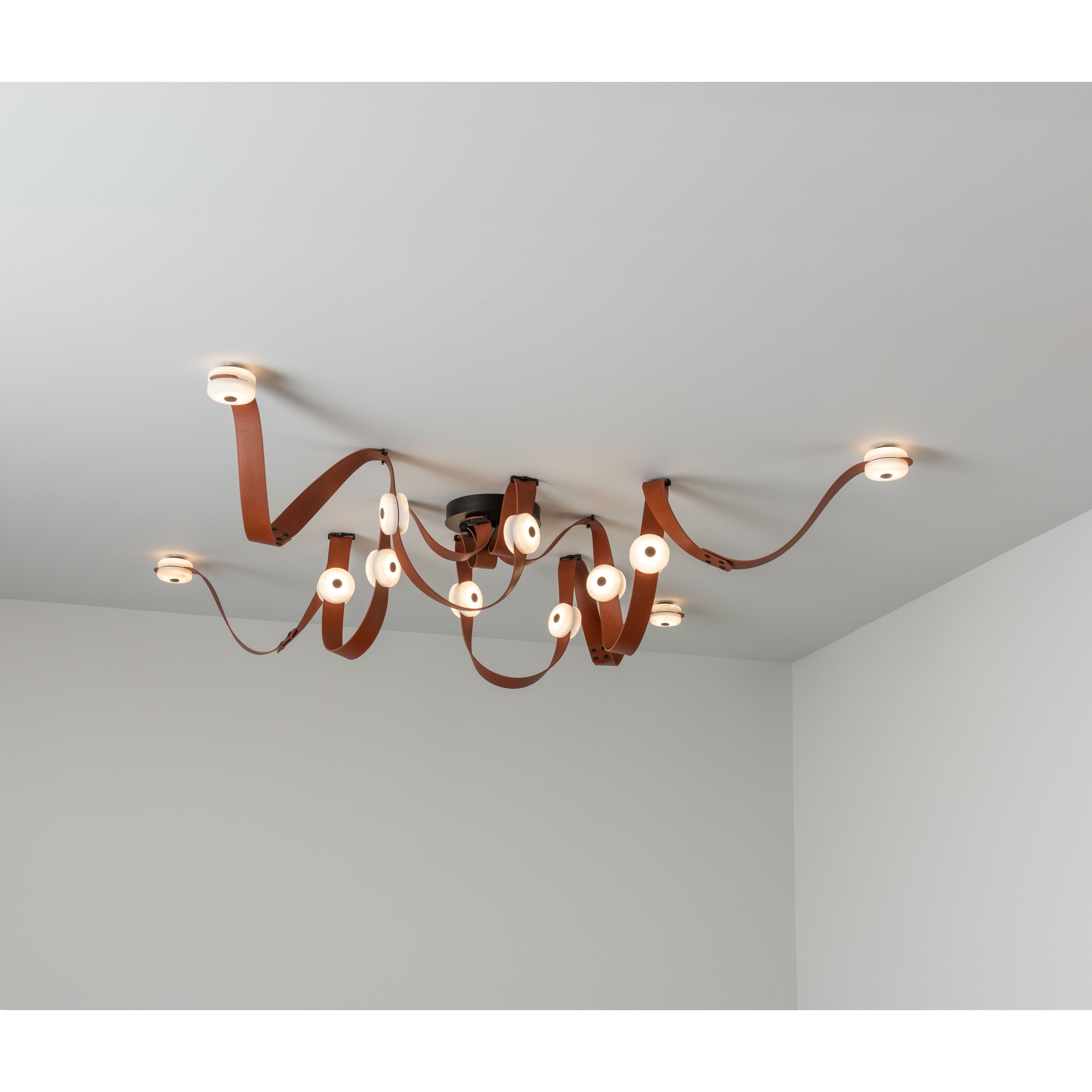 Contemporary from the Snaps Collection