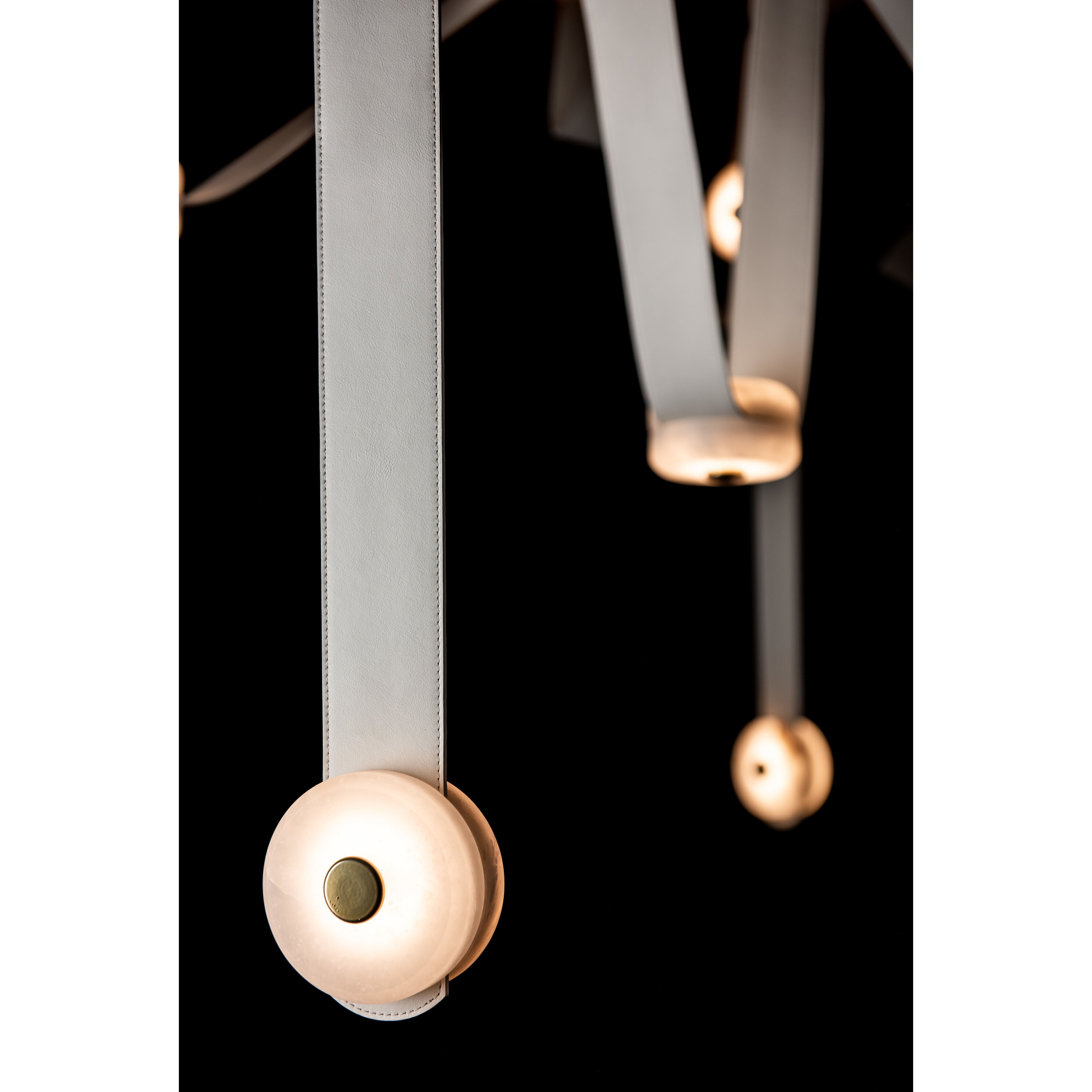 Contemporary from the Snaps Collection