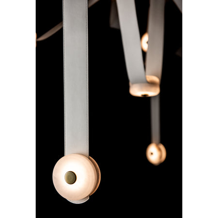 Contemporary from the Snaps Collection