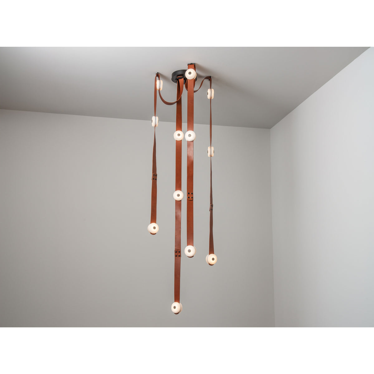 Contemporary from the Snaps Collection