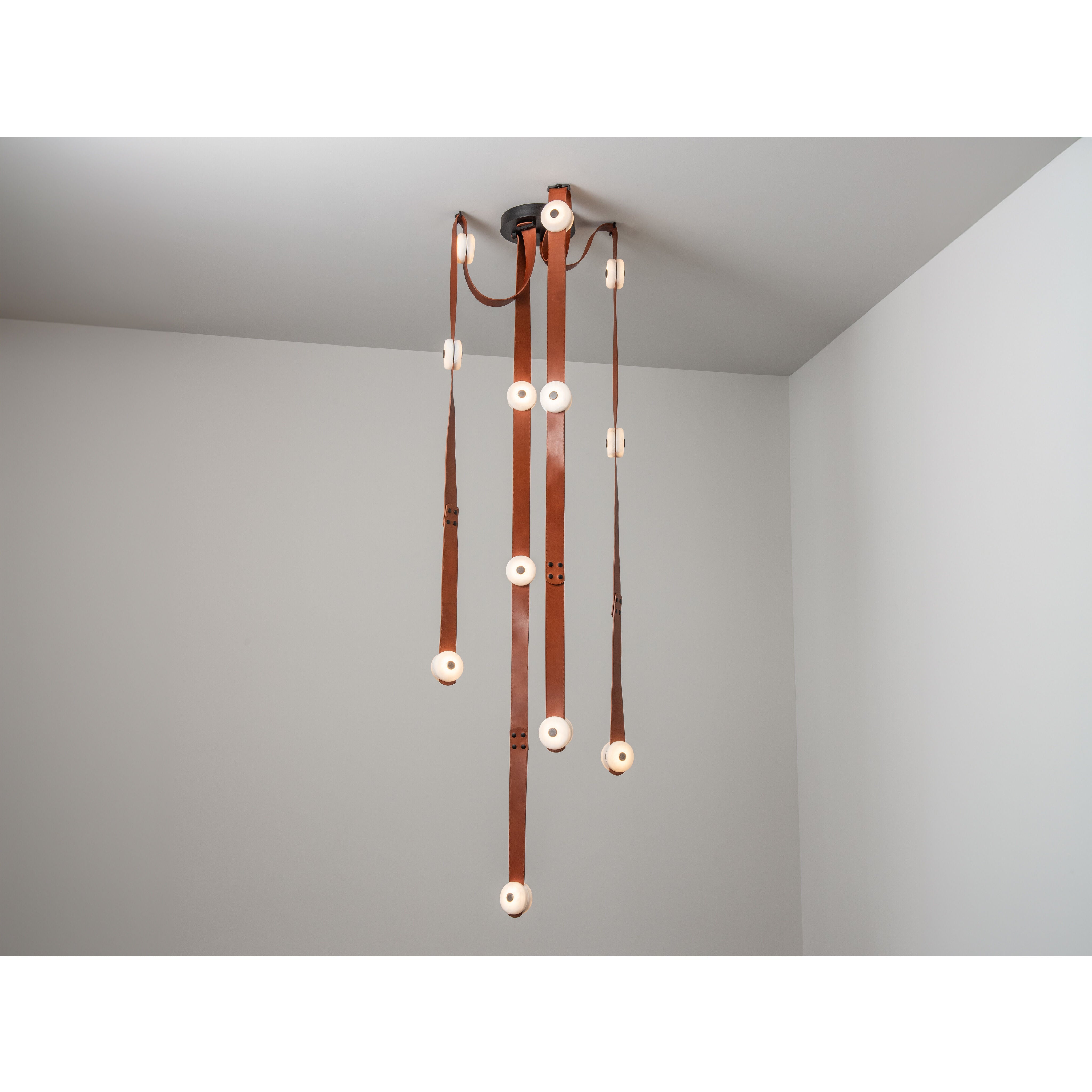 Contemporary from the Snaps Collection