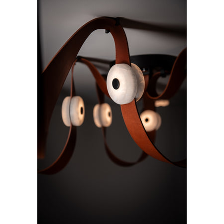 Contemporary from the Snaps Collection
