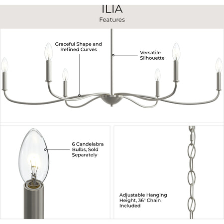 P400464-31m 6-L Large Chandelier