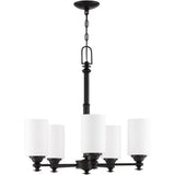 Transitional 5 Light Chandelier from the Dardyn Collection