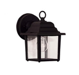Traditional Wall Lantern from the Exterior Collections Collection