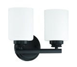 Transitional Vanity Light from the Bolden Collection
