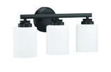 Transitional Vanity Light from the Bolden Collection