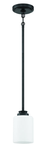 Transitional Down Mini Pendant from the Bolden Collection