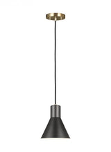Transitional Mini Pendant from the Towner Collection