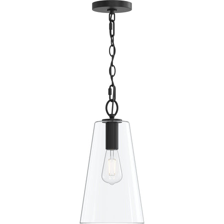 P500511-31m 1-L Pendant