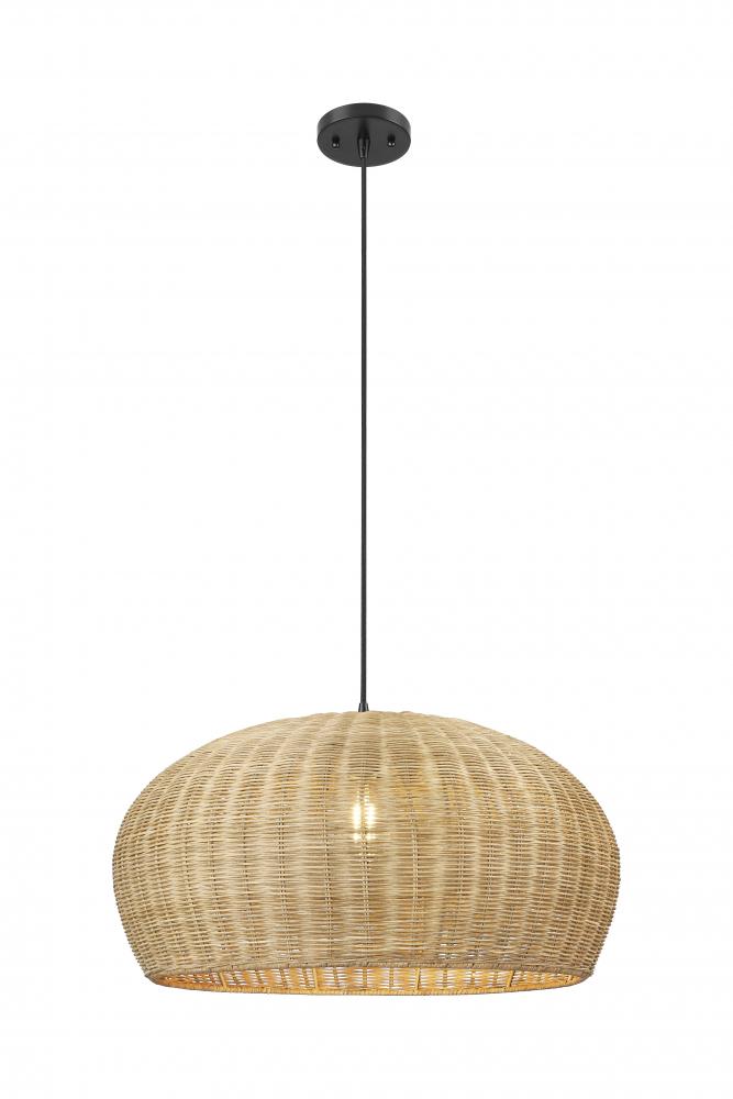 Down Pendant from the Oasis Collection