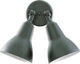 2lt Par Lamp Floodlgt-Bk