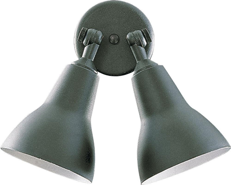 2lt Par Lamp Floodlgt-Bk