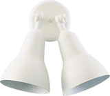 2lt Par Lamp Floodlgt-Bk