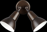 2lt Par Lamp Floodlgt-Bk