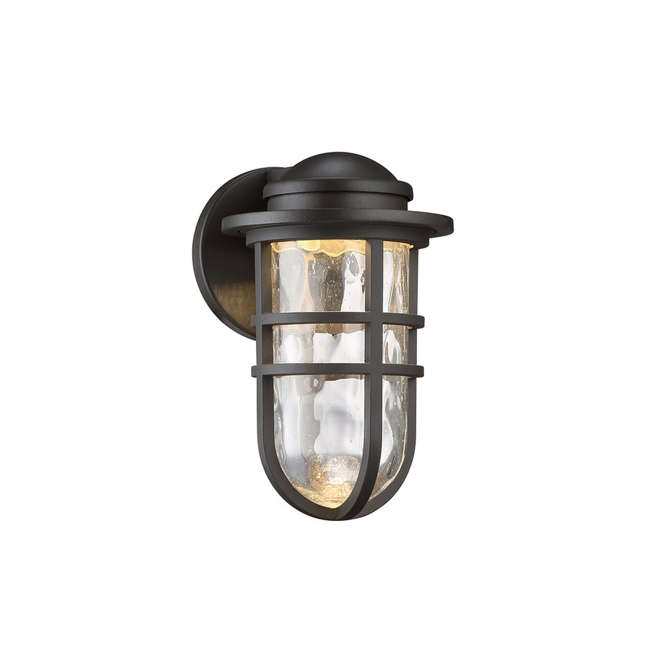 Transitional Wall Light from the STEAMPUNK Collection