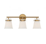 Traditional Vanity Light from the Kaden Collection