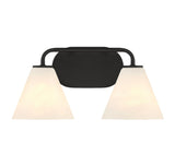 Transitional Vanity Light from the Blair Collection