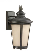 Traditional Wall Lantern from the Cape May Collection