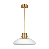 Contemporary Down Pendant from the Morgan Collection