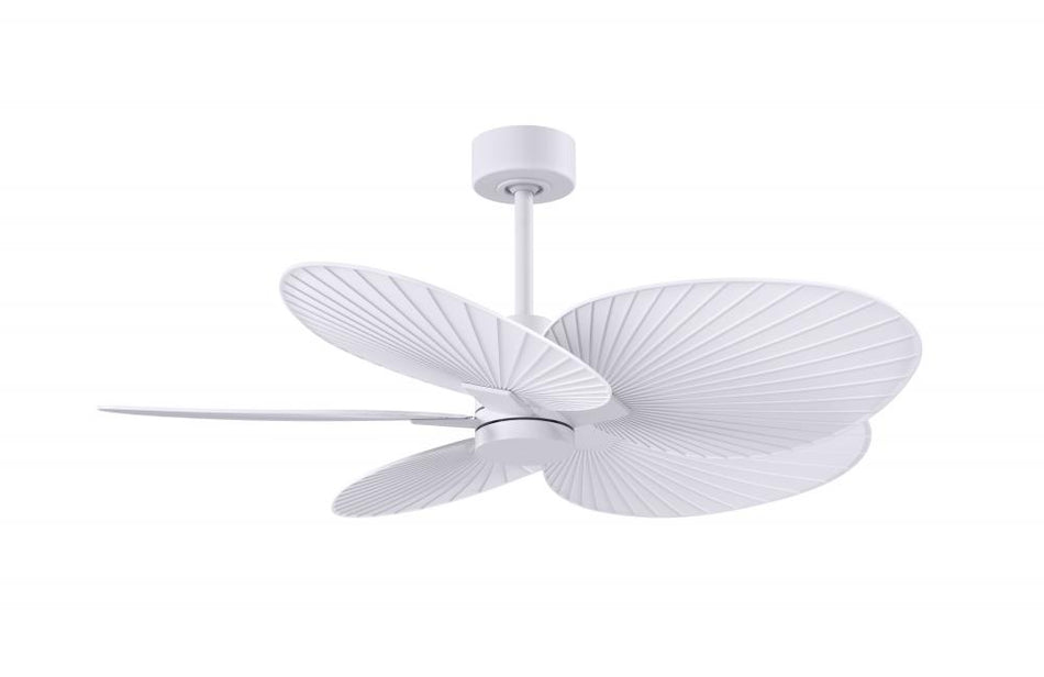 Transitional Ceiling Fan from the Alessandra Tropical Collection