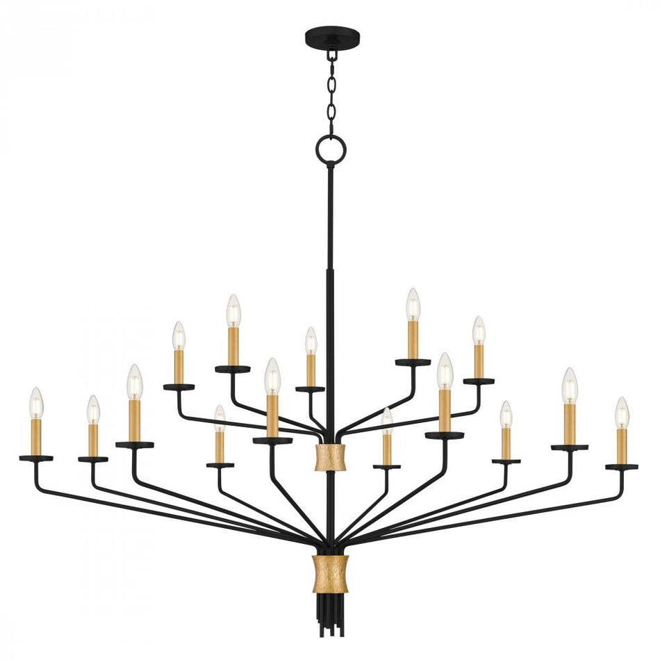 Transitional 15 Light Chandelier from the Alexander Collection