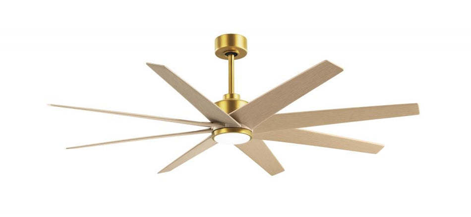 Contemporary Ceiling Fans With Light from the Ariella - LK Collection