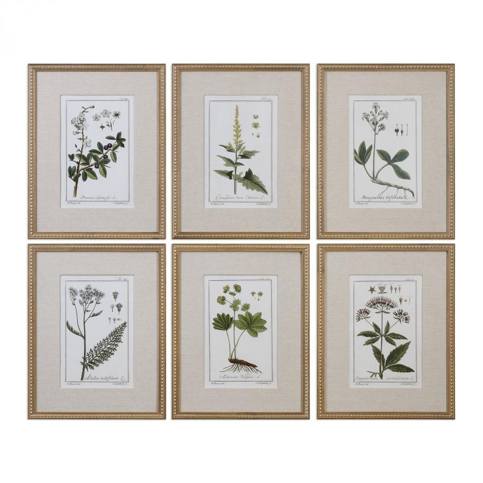 Contemporary Wall Art from the Green Floral Botanical Study Collection