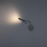 Modern Wall Light from the SPRIG Collection
