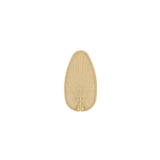 Fan Blade from the Islander Dc Collection